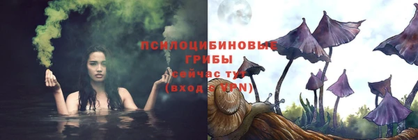прущая мука Арсеньев