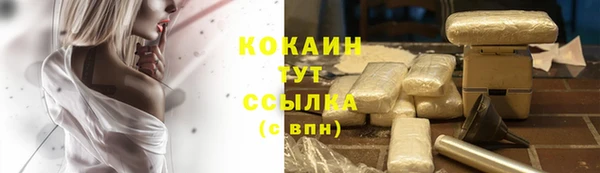 прущая мука Арсеньев