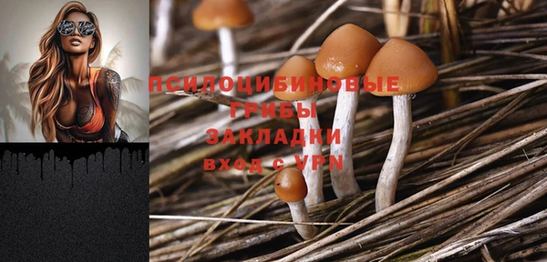 МДПВ Аркадак