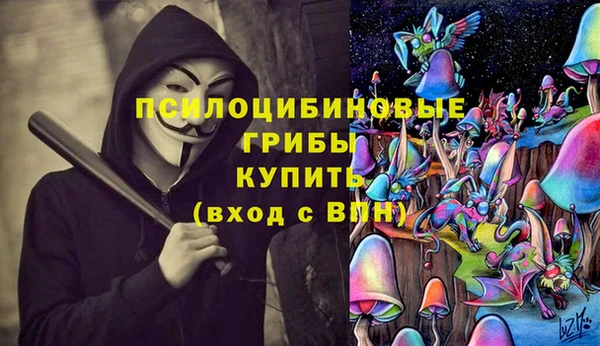 прущая мука Арсеньев