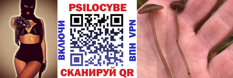 где купить наркоту  Истра  МЕГА рабочий сайт  Галлюциногенные грибы Cubensis 
